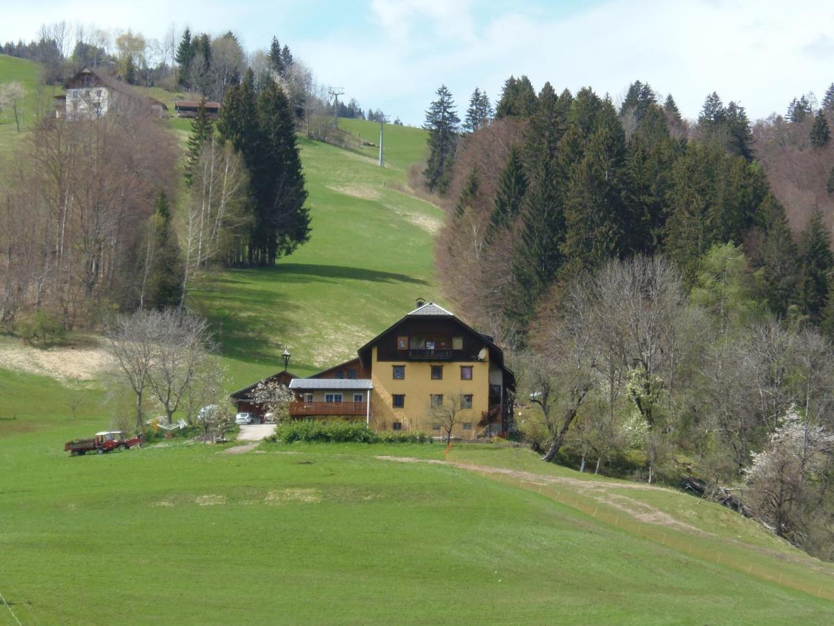 Casa Safra Villa Kotschach-Mauthen Dış mekan fotoğraf